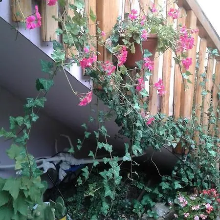 Apartment Centar