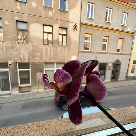 Centar Apartmán Sarajevo