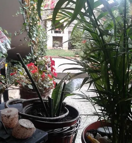 Centar Appartement *